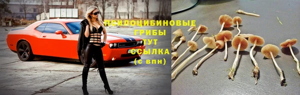 мяу мяу мука Костерёво
