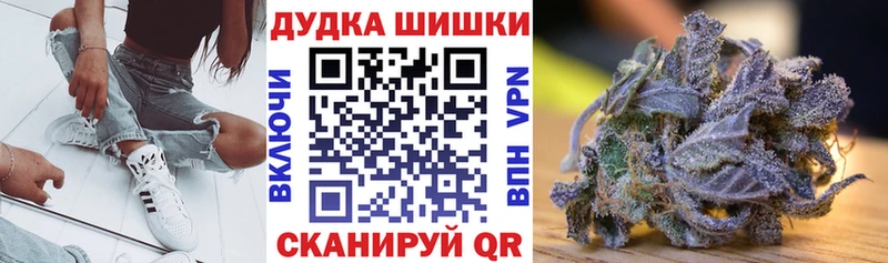магазин Сясьстрой Конопля планчик